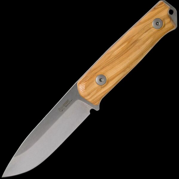 lionSTEEL B41 Olive Wood