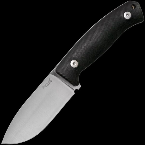 lionSTEEL M2 G10