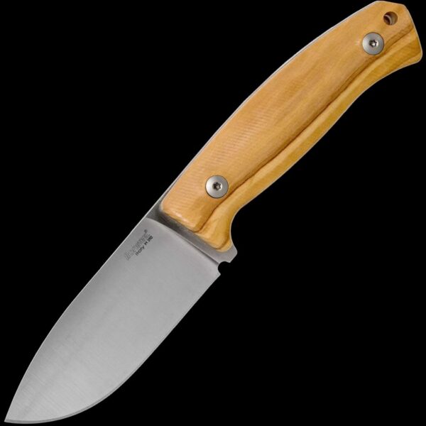 lionSTEEL M2 Olive Wood