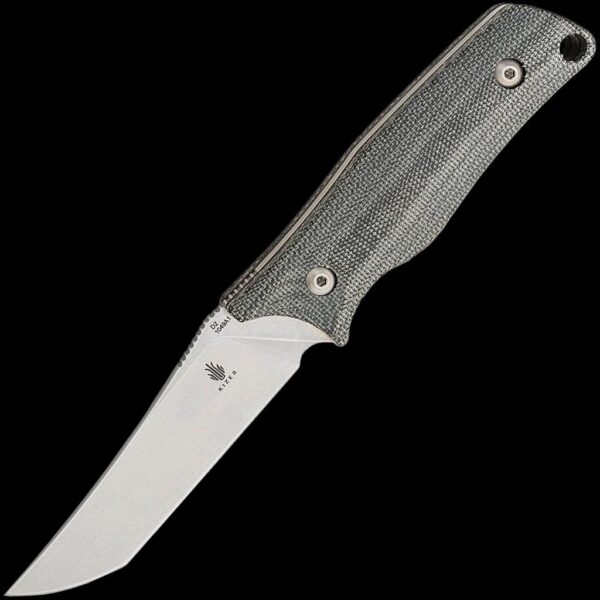 Kizer Elgon