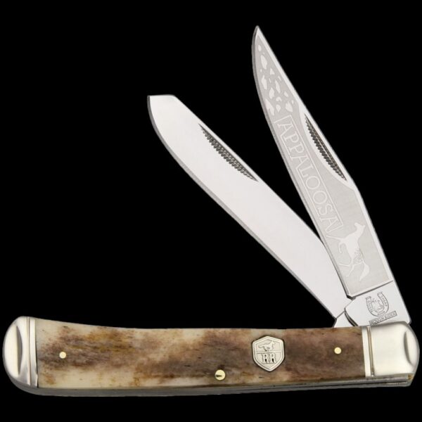 Rough Ryder Brown Appaloosa Bone Trapper