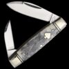 Rough Ryder Black Appaloosa Senator