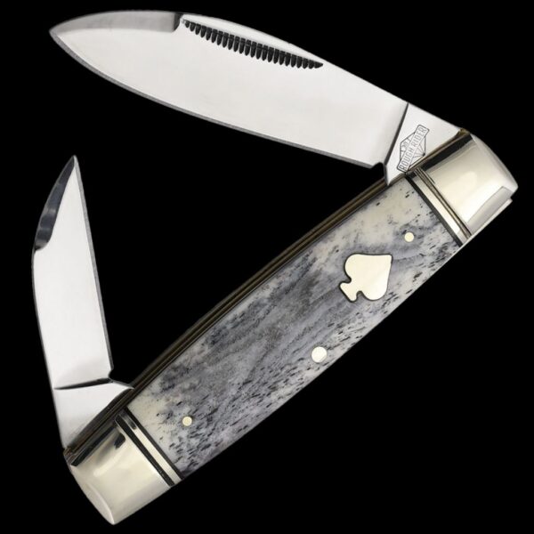 Rough Ryder Black Appaloosa Senator