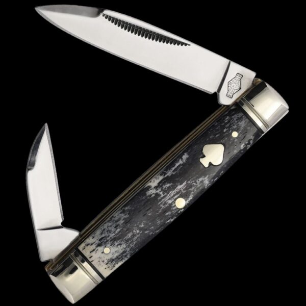 Rough Ryder Black Appaloosa Capital Intern