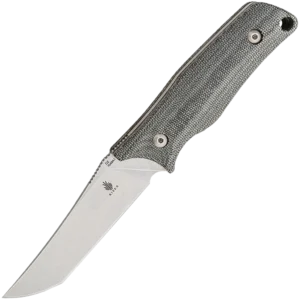 Kizer Elgon