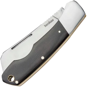 Alternative view of Kershaw Parley