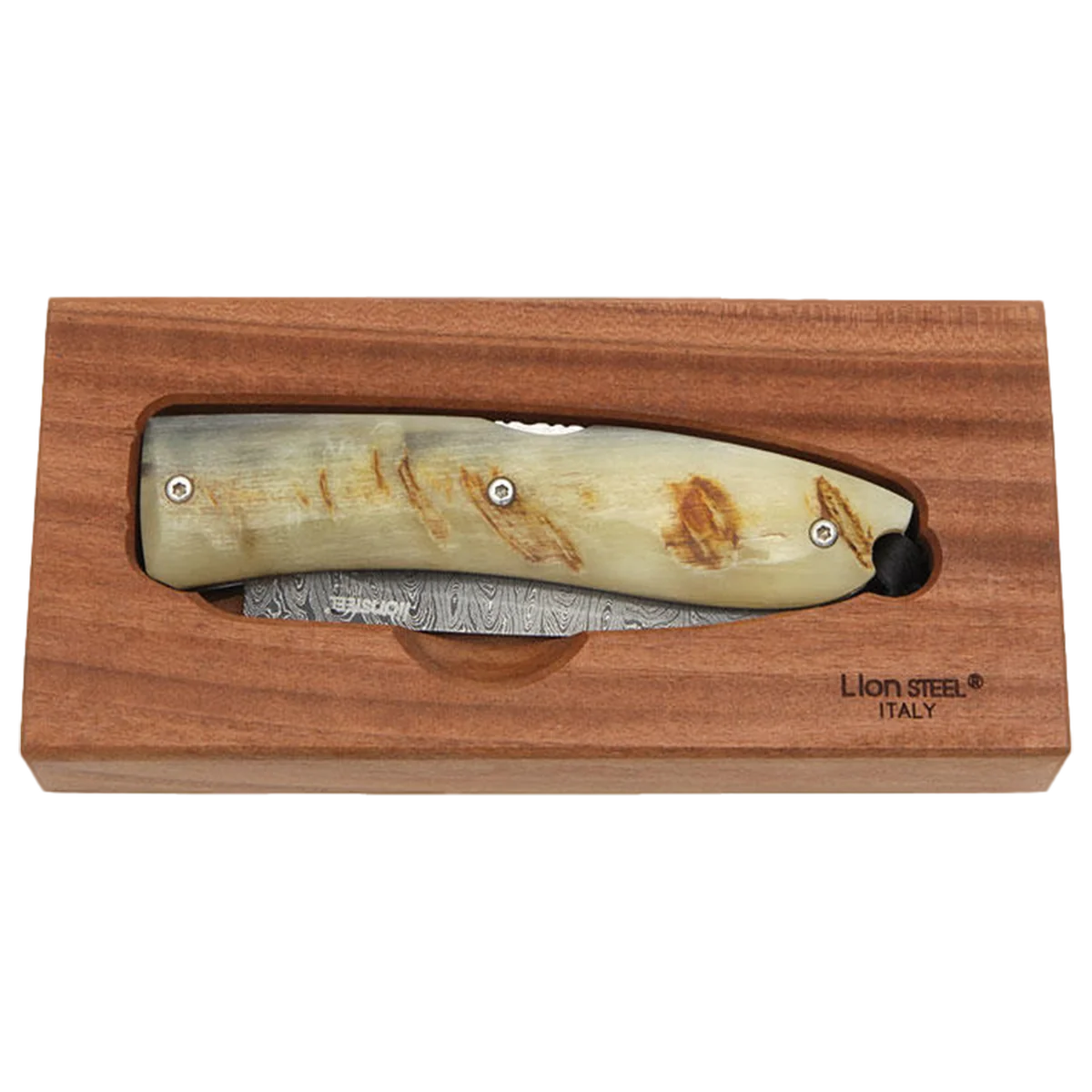lionSTEEL Opera Damascus Heinsgringla Ram Handle, wood box - Image 2