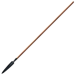 Cold Steel Assegai with Long Shaft