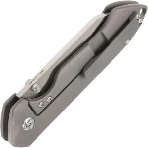 Alternative view of Kizer Guru