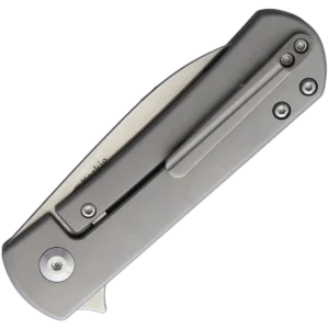 Alternative view of Kizer Yorkie