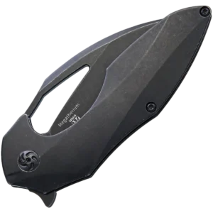 Alternative view of Kizer Megatherium