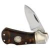 Rough Ryder Tortoise Shell Cub Lockback