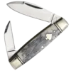 Rough Ryder Black Appaloosa Senator