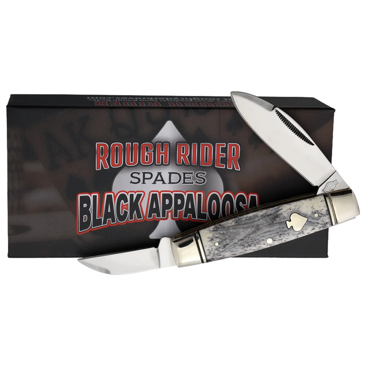 Rough Ryder Black Appaloosa Senator - Image 2