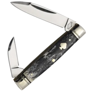 Rough Ryder Black Appaloosa Capital Intern