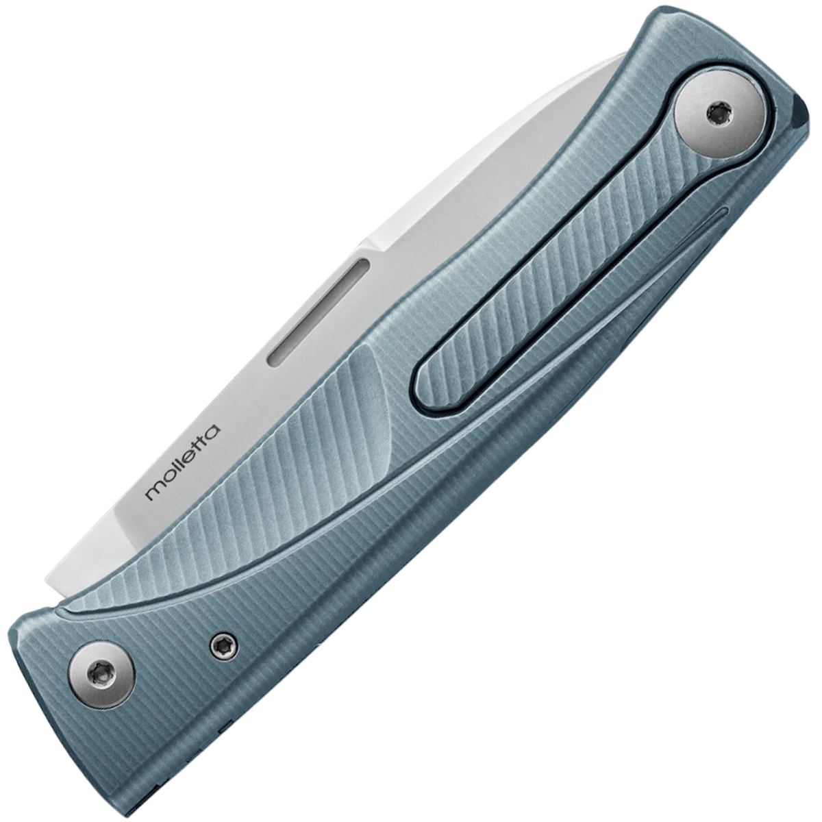 lionSTEEL Thrill Titanium - Blue / Silver - Image 2