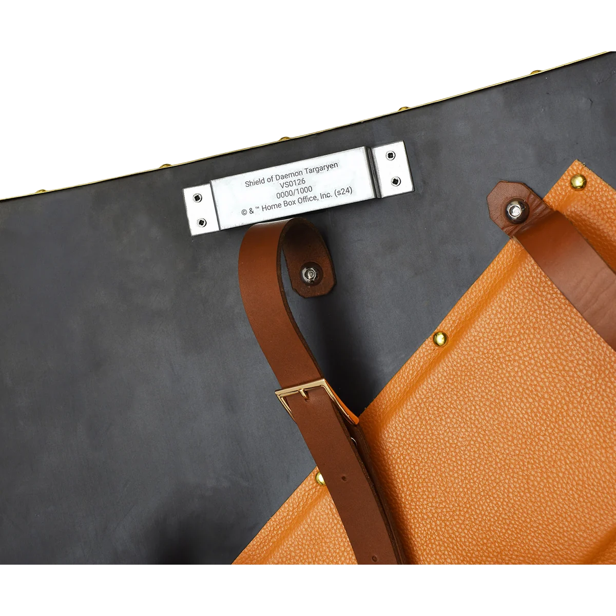 Valyrian Steel Game of Thrones - Targaryen Shield - Image 5