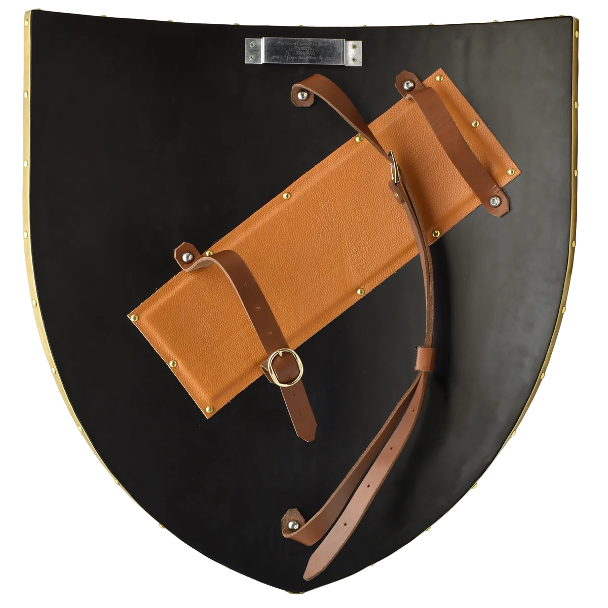 Valyrian Steel Game of Thrones - Targaryen Shield - Image 7