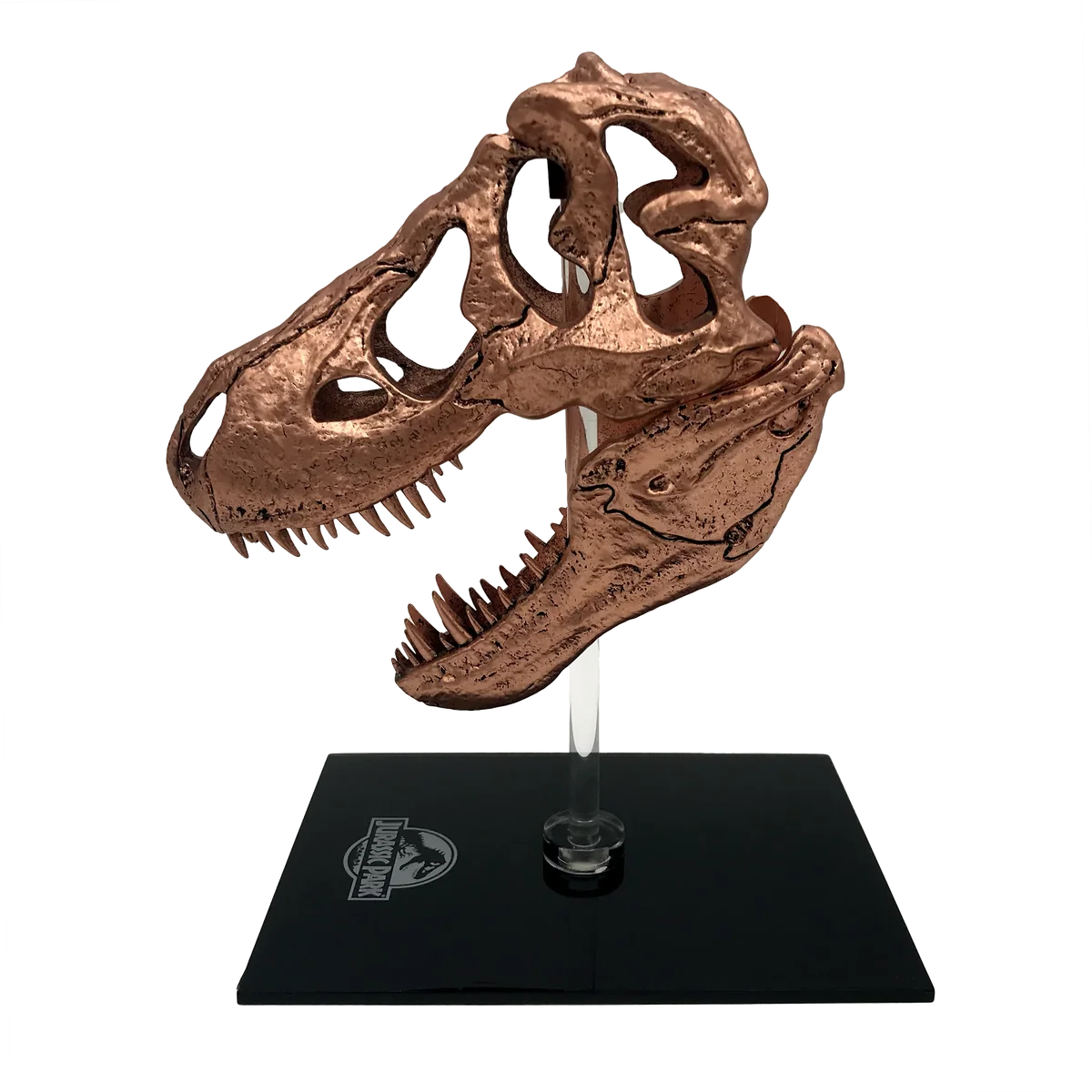 Factory Entertainment Jurassic Park - T-Rex Skull Scaled Prop Replica - Image 2