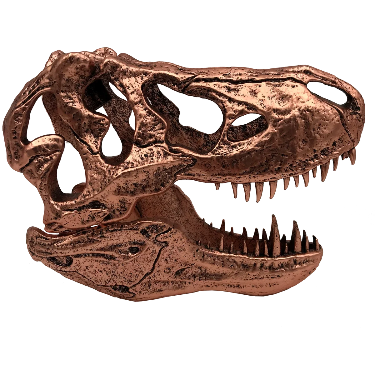 Factory Entertainment Jurassic Park - T-Rex Skull Scaled Prop Replica - Image 3