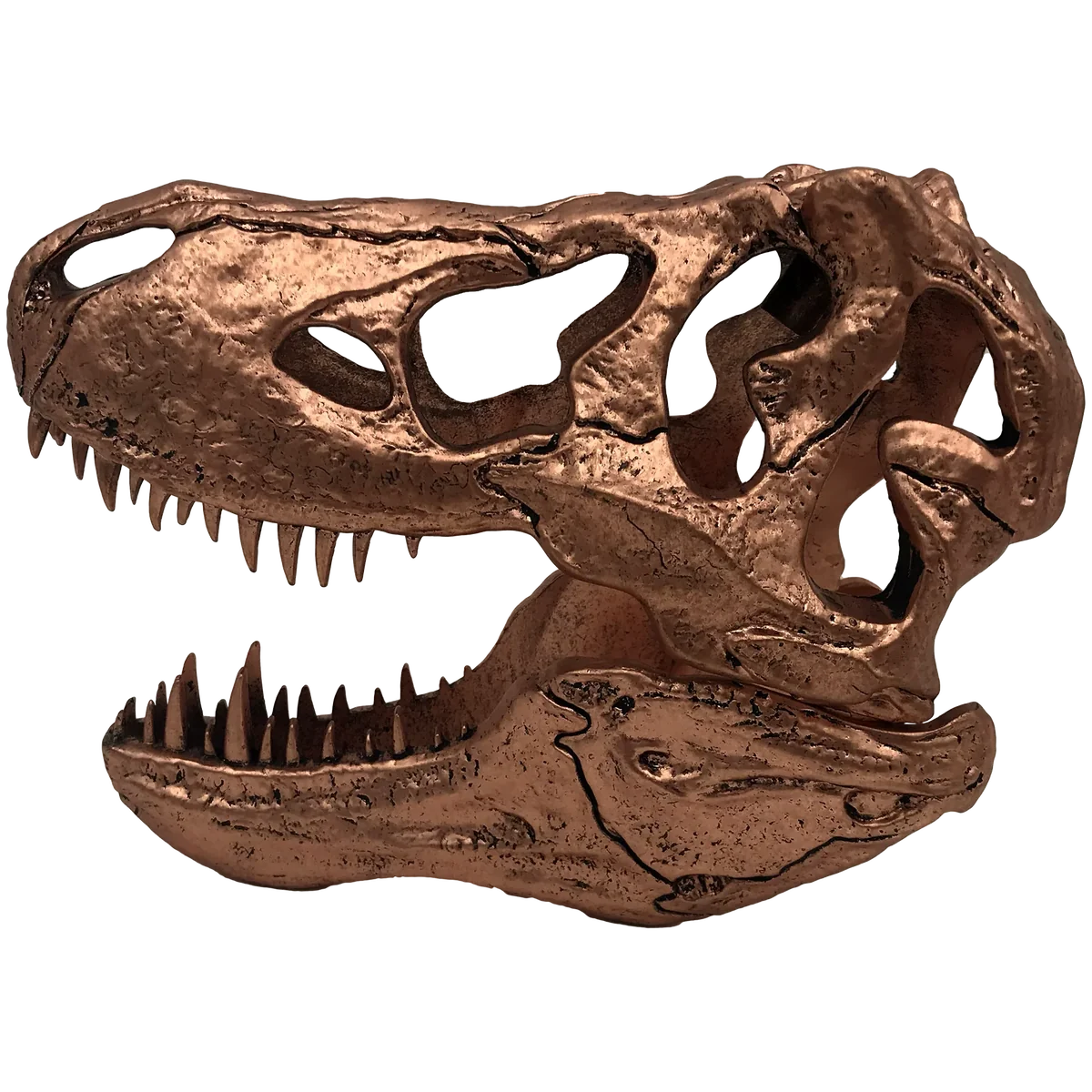 Factory Entertainment Jurassic Park - T-Rex Skull Scaled Prop Replica - Image 4