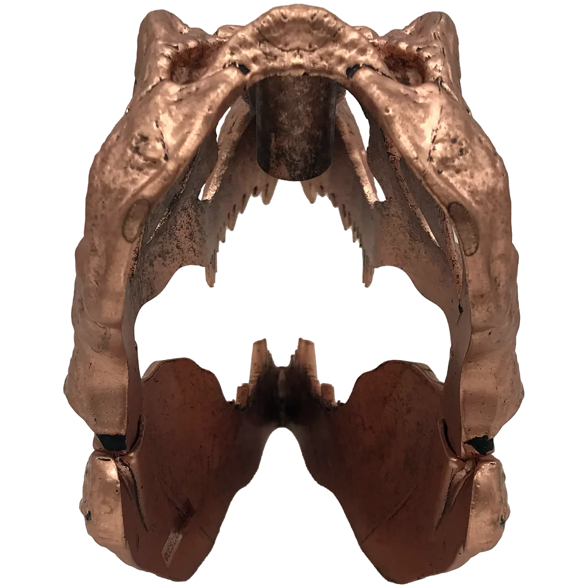 Factory Entertainment Jurassic Park - T-Rex Skull Scaled Prop Replica - Image 5