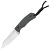 Kizer Field Mouse