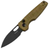Kizer Parakeet