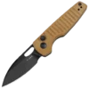 Kizer Parakeet