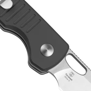Kizer Parakeet - Image 6
