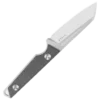 Kizer Phasmids