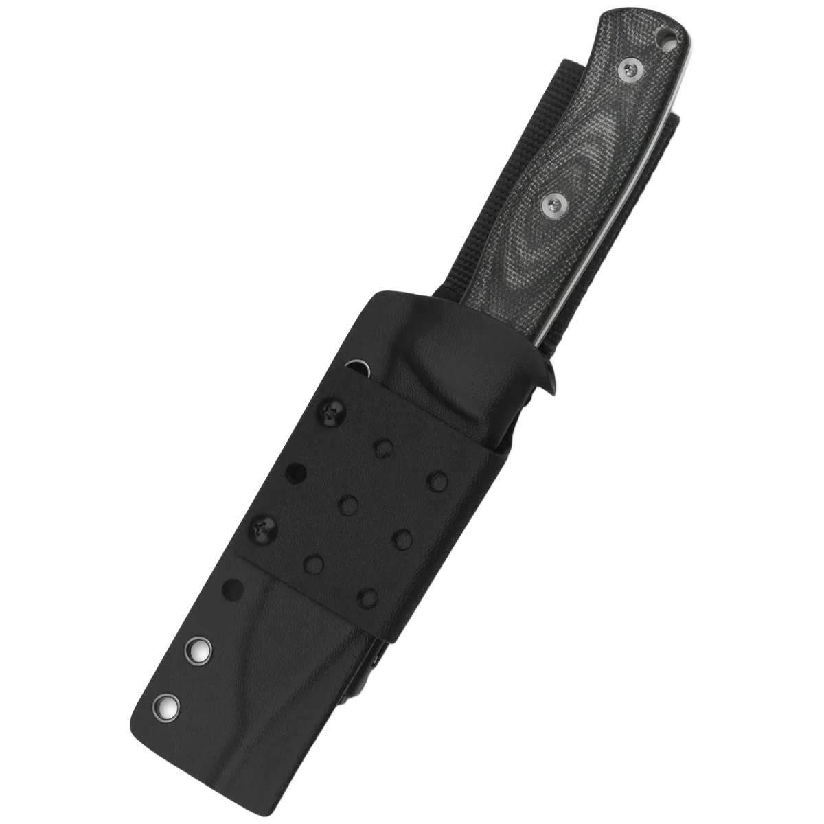 QSP Bison - Image 4