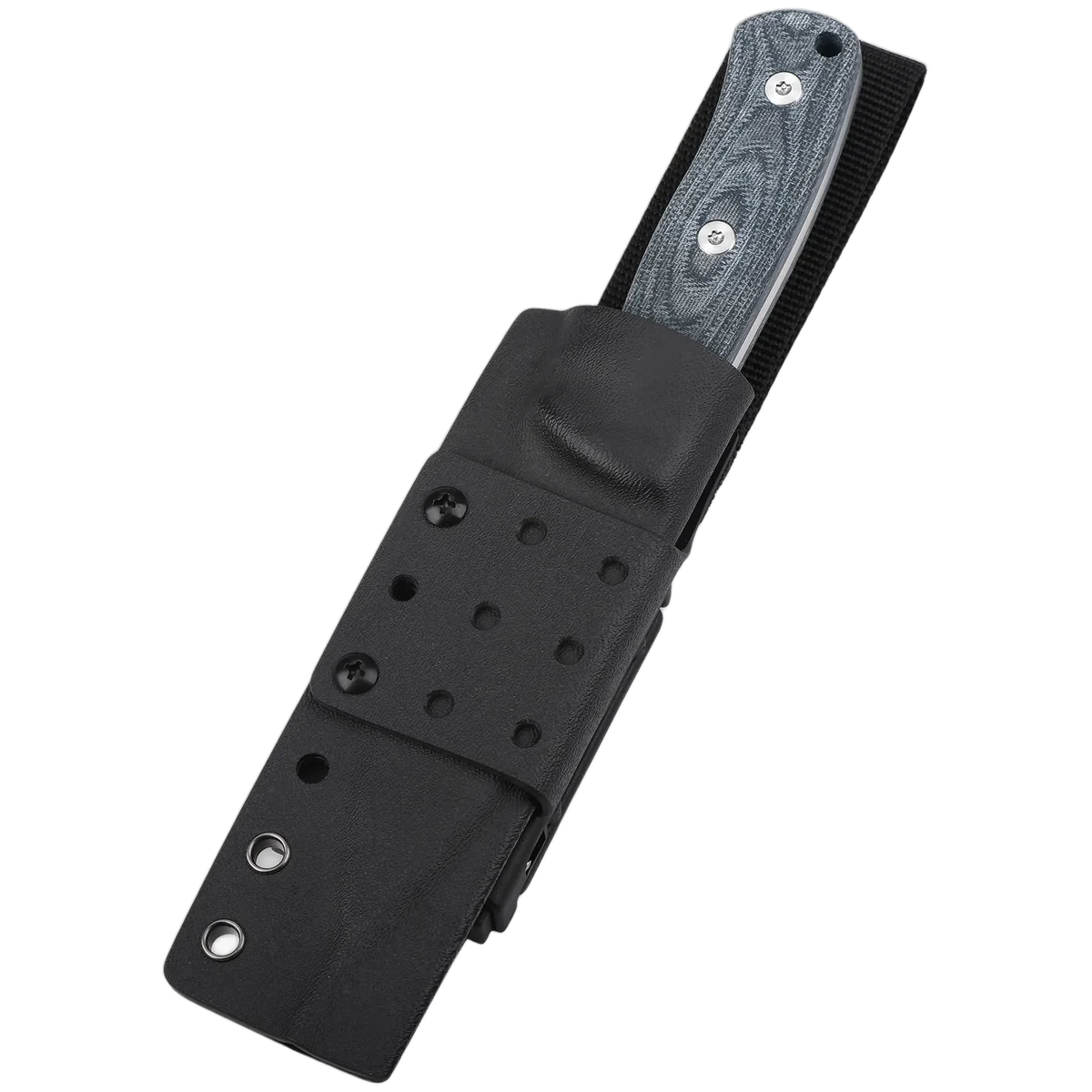QSP Bison - Image 4