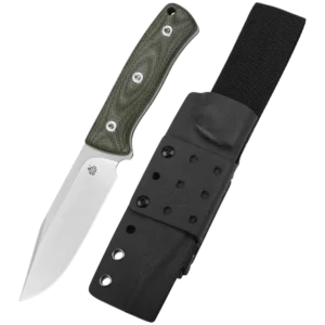 Alternative view of QSP Bison