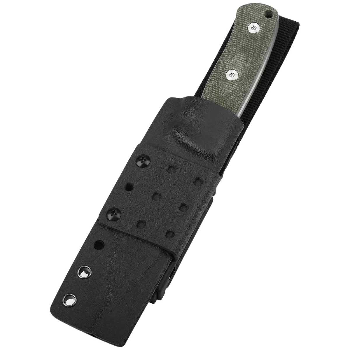 QSP Bison - Image 4