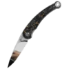 QSP Dolphin