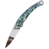 QSP Dolphin