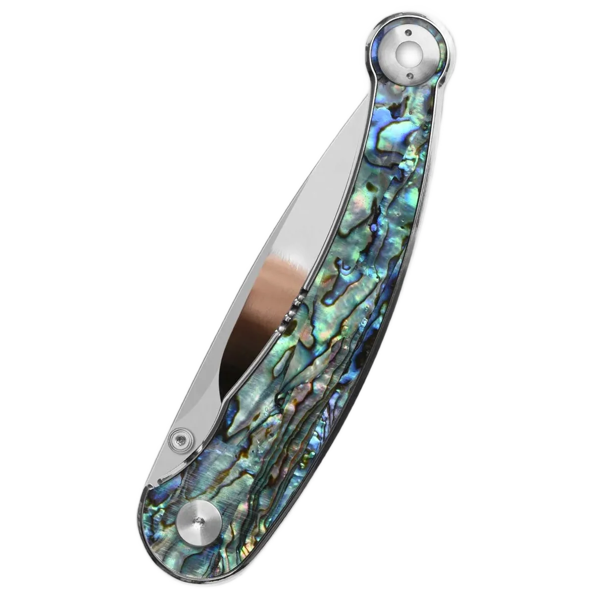 QSP Dolphin - Image 2