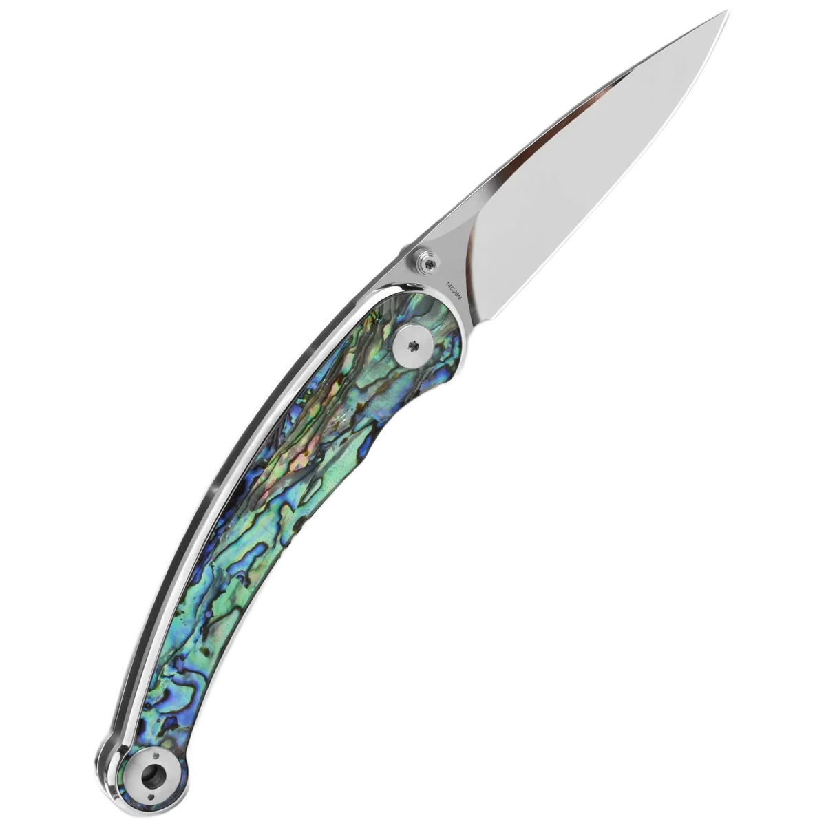 QSP Dolphin - Image 4
