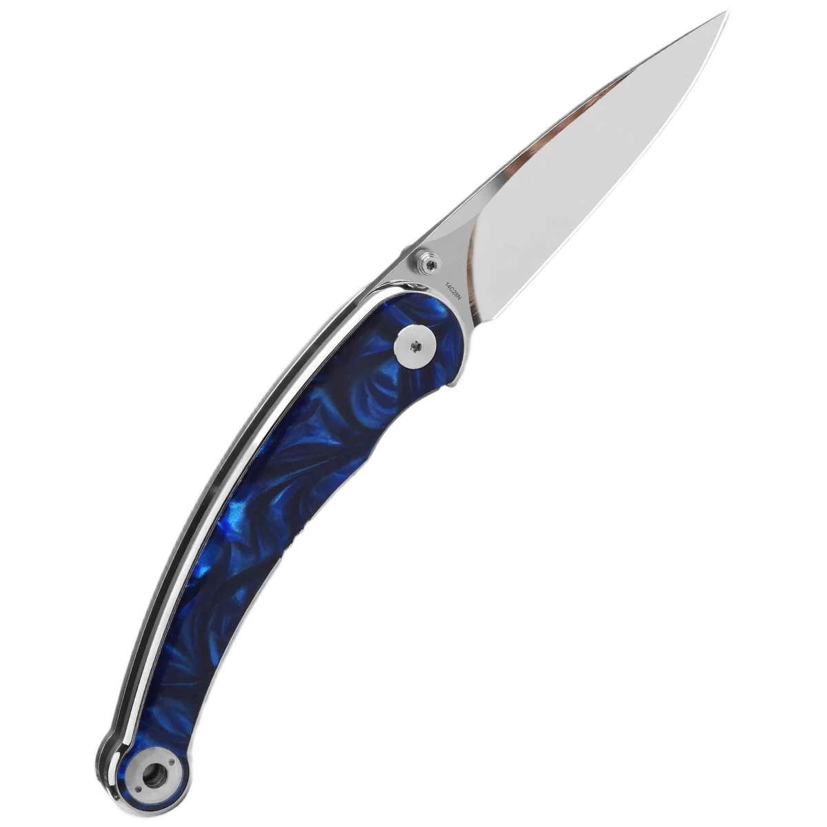 QSP Dolphin - Image 4