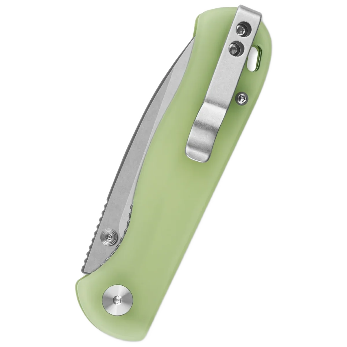 QSP Ferret - Image 2