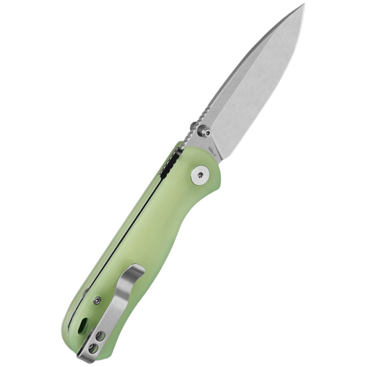 QSP Ferret - Image 4