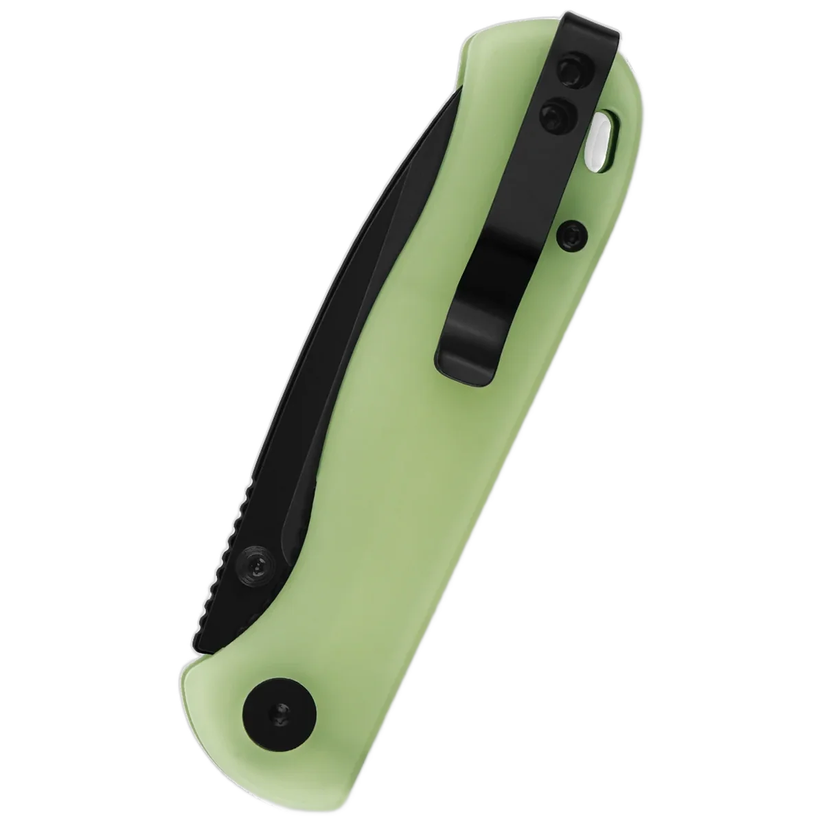 QSP Ferret - Image 2