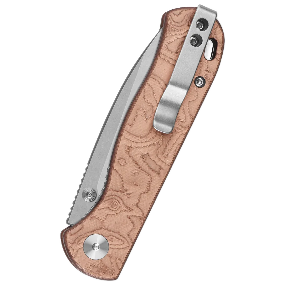 QSP Ferret - Image 2