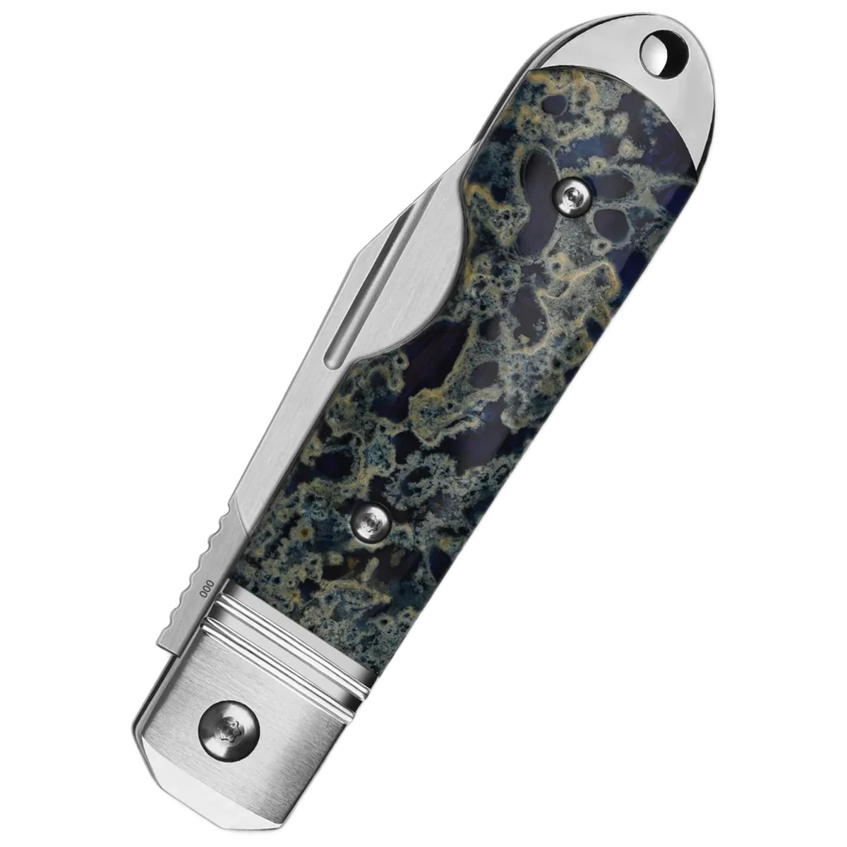 QSP Moray - Image 2