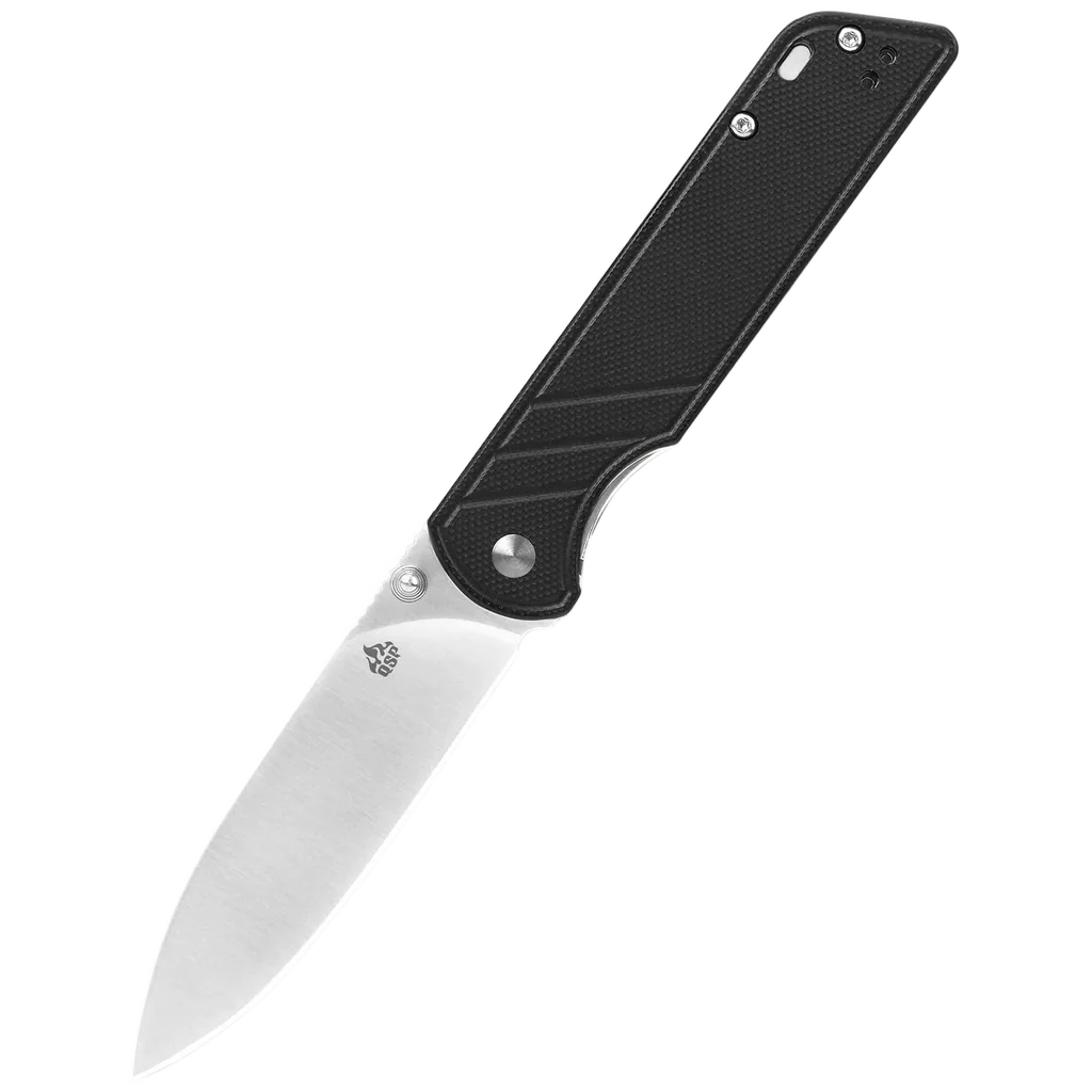 QSP Parrot V2