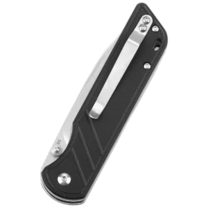 Alternative view of QSP Parrot V2