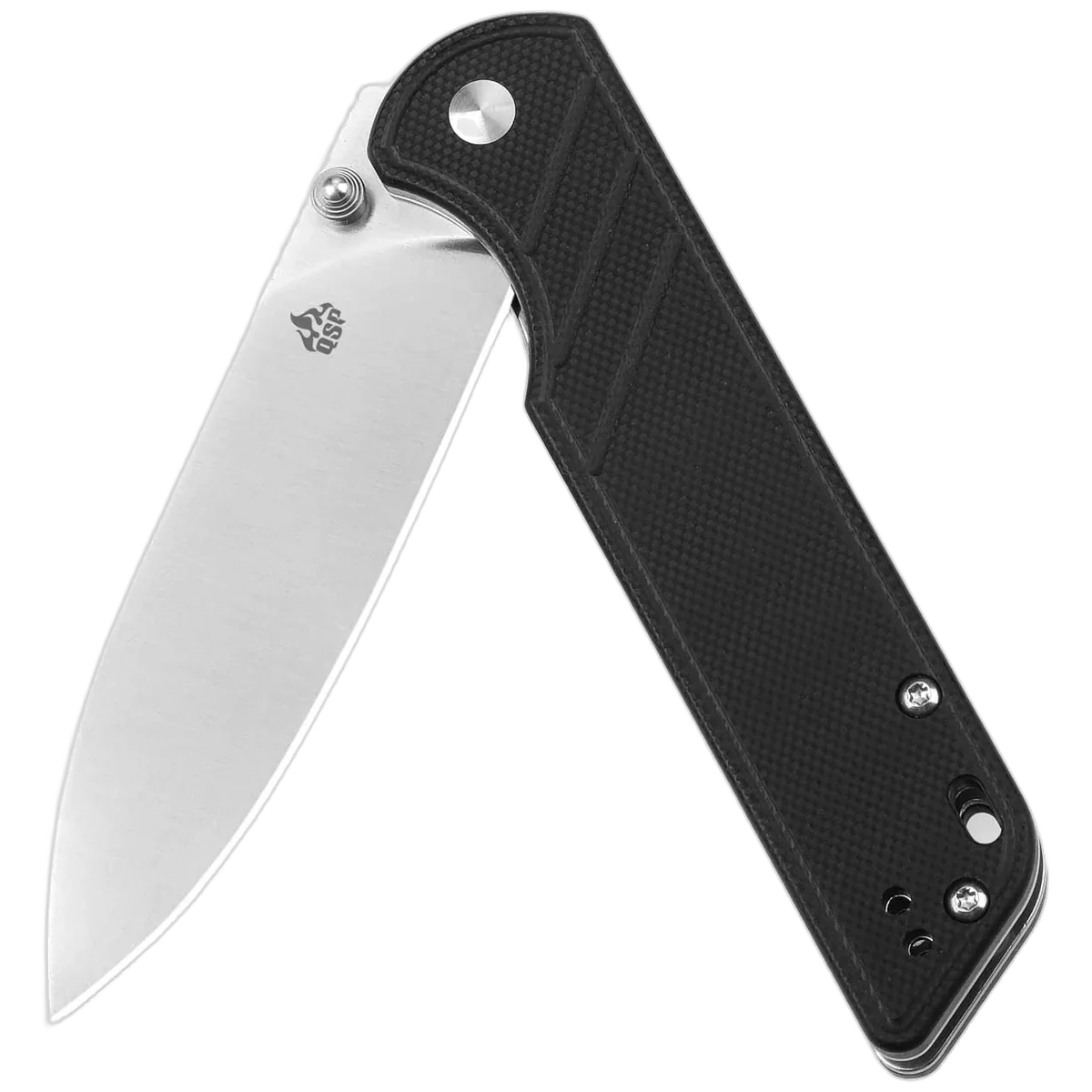QSP Parrot V2 - Image 3