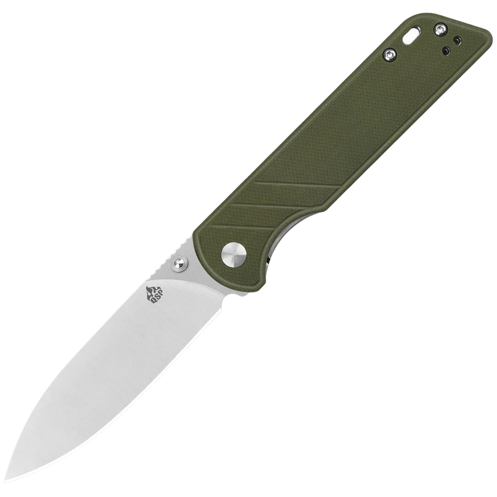 QSP Parrot V2