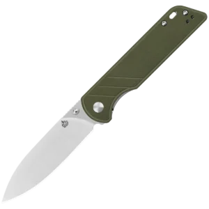 Alternative view of QSP Parrot V2